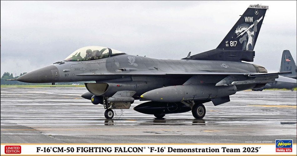 F-16Cm-50 Fighting Falcon Kit 1:48 DS Modellismo F-16Cm-50 Fighting Falcon Kit scala 1:48