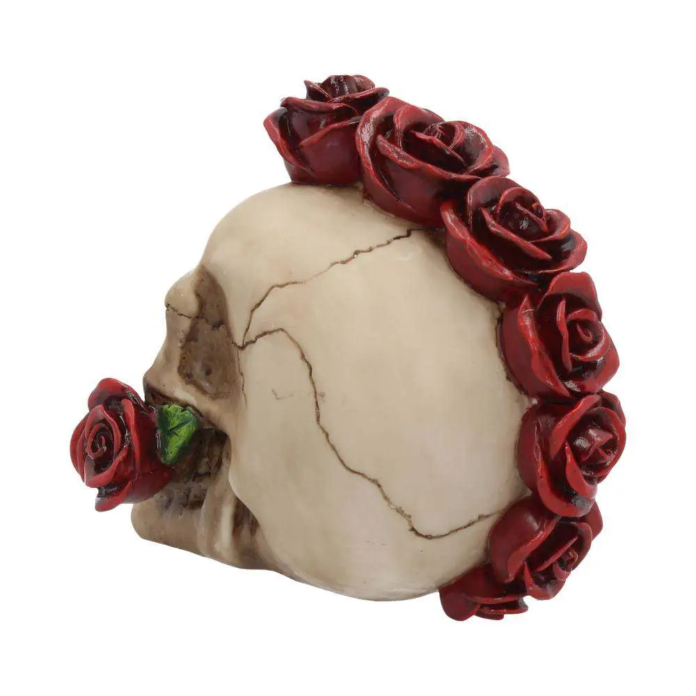 Skull Gothic Rosehawk DS Modellismo Skull Gothic Rosehawk NEMESIS NOW