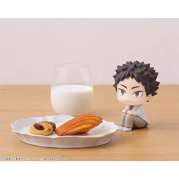 Lookup Haikyu Iwaizumi DS Modellismo Lookup Haikyu Iwaizumi MEGAHOUSE
