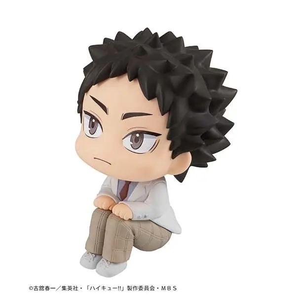 Lookup Haikyu Iwaizumi DS Modellismo Lookup Haikyu Iwaizumi MEGAHOUSE