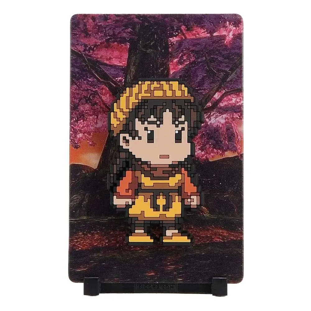 Calamita Shenmue Shenhua Ling Figgyz Pop da collezione Magnet DS Modellismo Calamita Shenmue Shenhua Ling Figgyz Pop