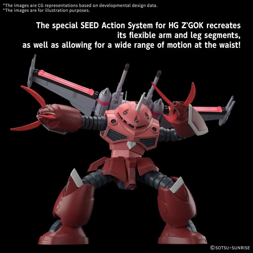 HG Z’gok Seed Freedom Ver 1/144 DS Modellismo Hg Z’gok Seed Freedom Ver scala 1/144