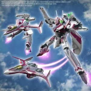 Hg VF-31C Siegfried Mirage scala 1/100