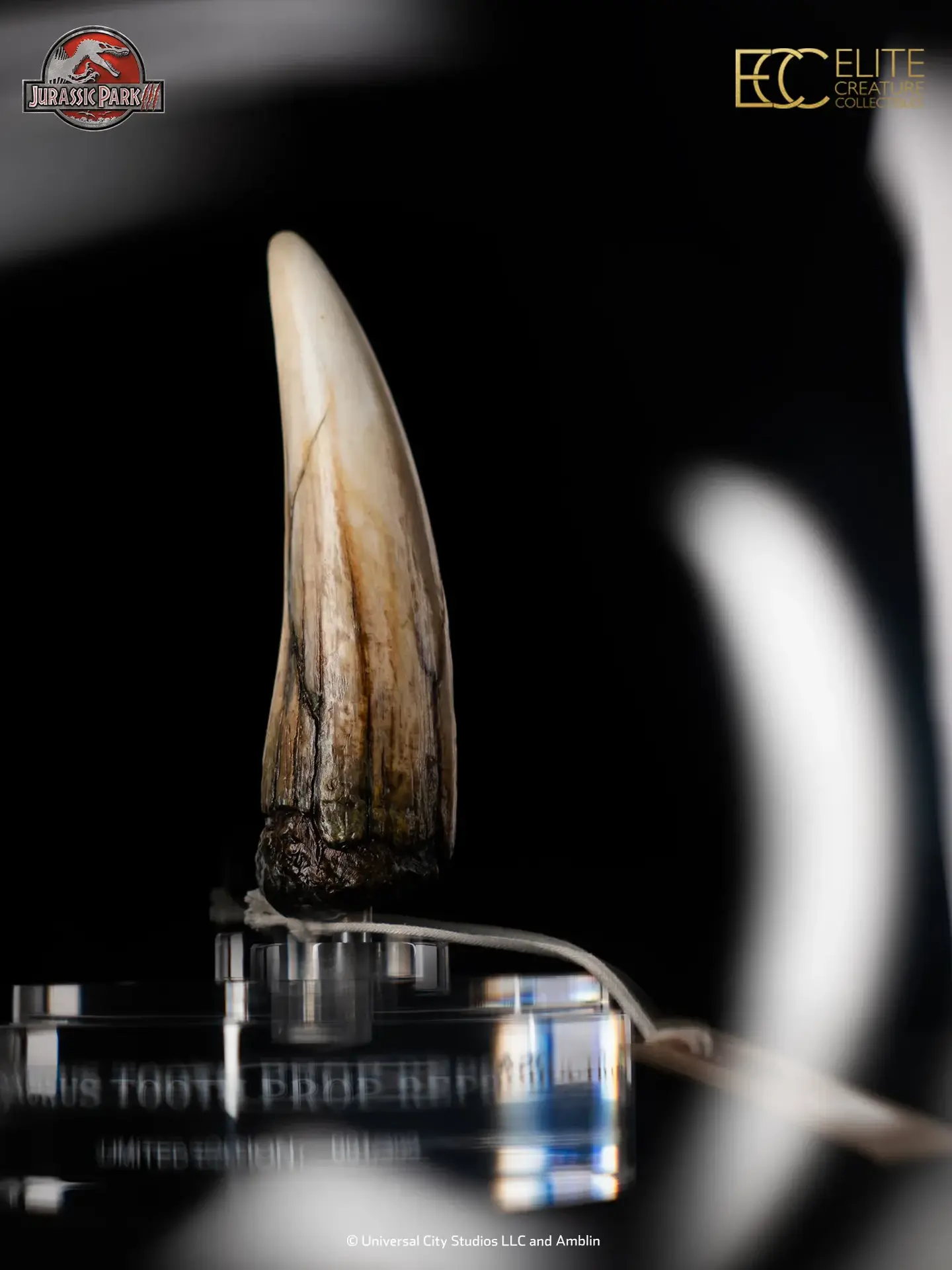 Jurassic Park III Spinosaurus Tooth Prop Reproduction DS Modellismo Jurassic Park III Spinosaurus Tooth Prop