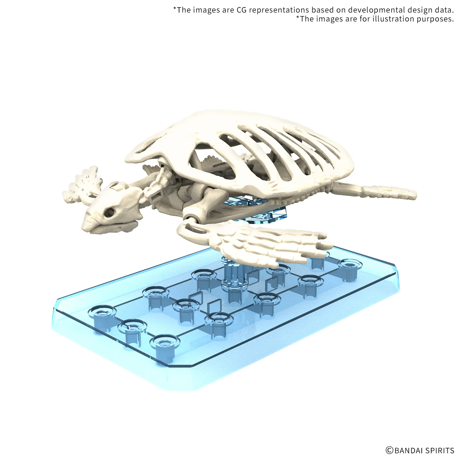 Plannosaurus Archelon DS Modellismo Plannosaurus Archelon
