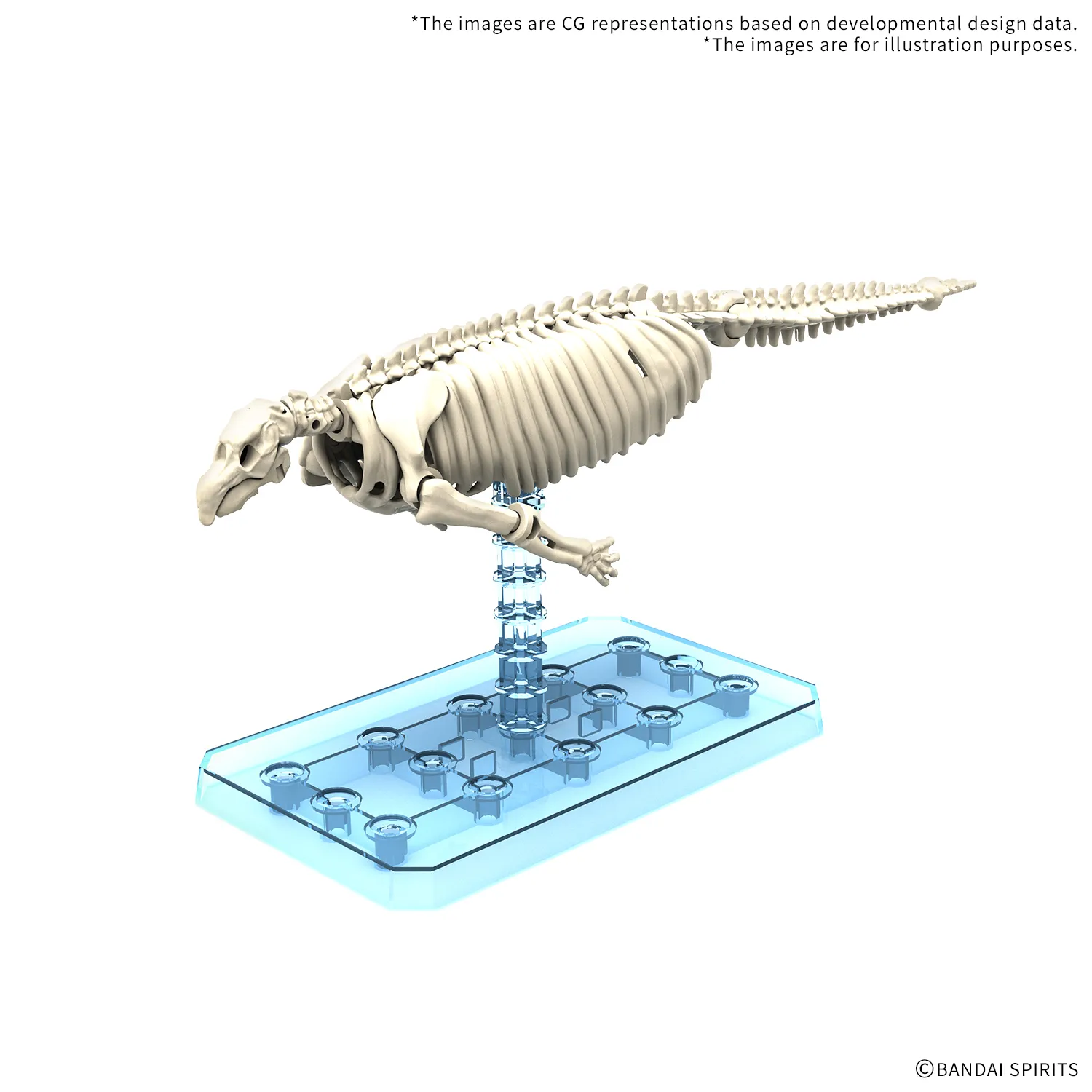 Plannosaurus Hydrodamalis Gigas DS Modellismo Plannosaurus Hydrodamalis Gigas