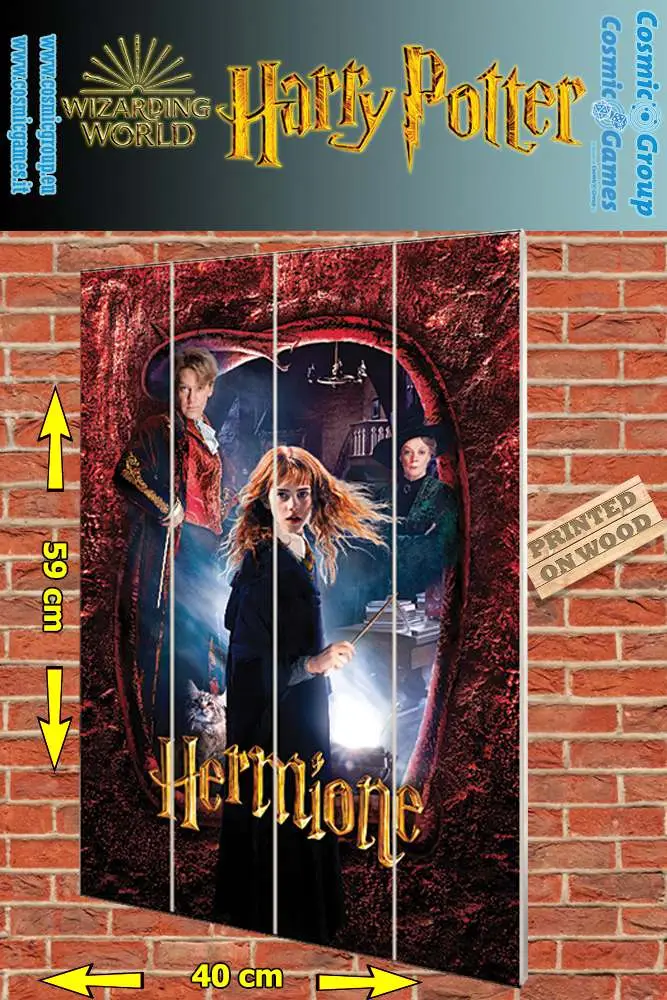 Stampa Harry Potter Hermione Wood DS Modellismo Stampa Harry Potter Hermione Wood