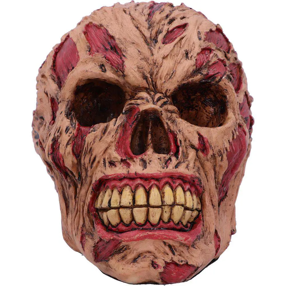 Decorazione Rotting Zombie Skull 17 cm DS Modellismo Decorazione Rotting Zombie Skull NEMESIS NOW