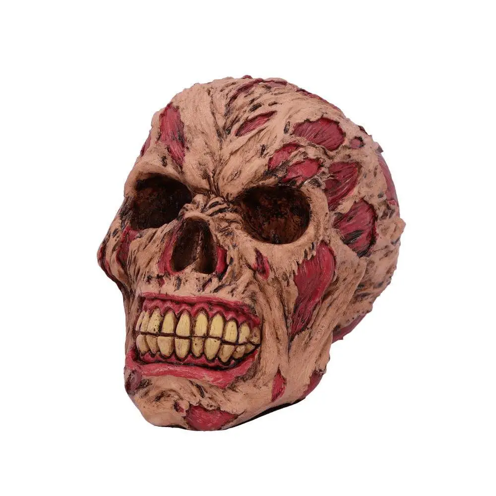 Decorazione Rotting Zombie Skull 17 cm DS Modellismo Decorazione Rotting Zombie Skull NEMESIS NOW