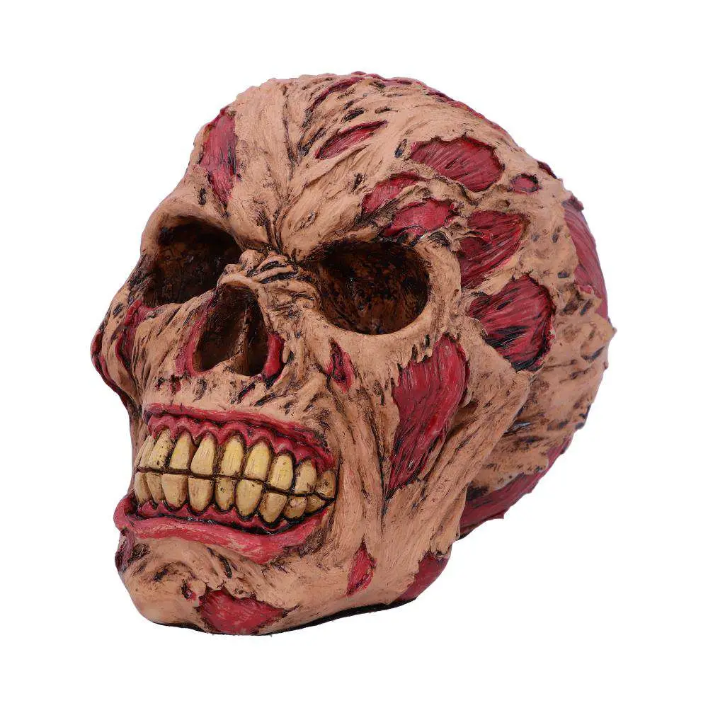 Decorazione Rotting Zombie Skull 17 cm DS Modellismo Decorazione Rotting Zombie Skull NEMESIS NOW