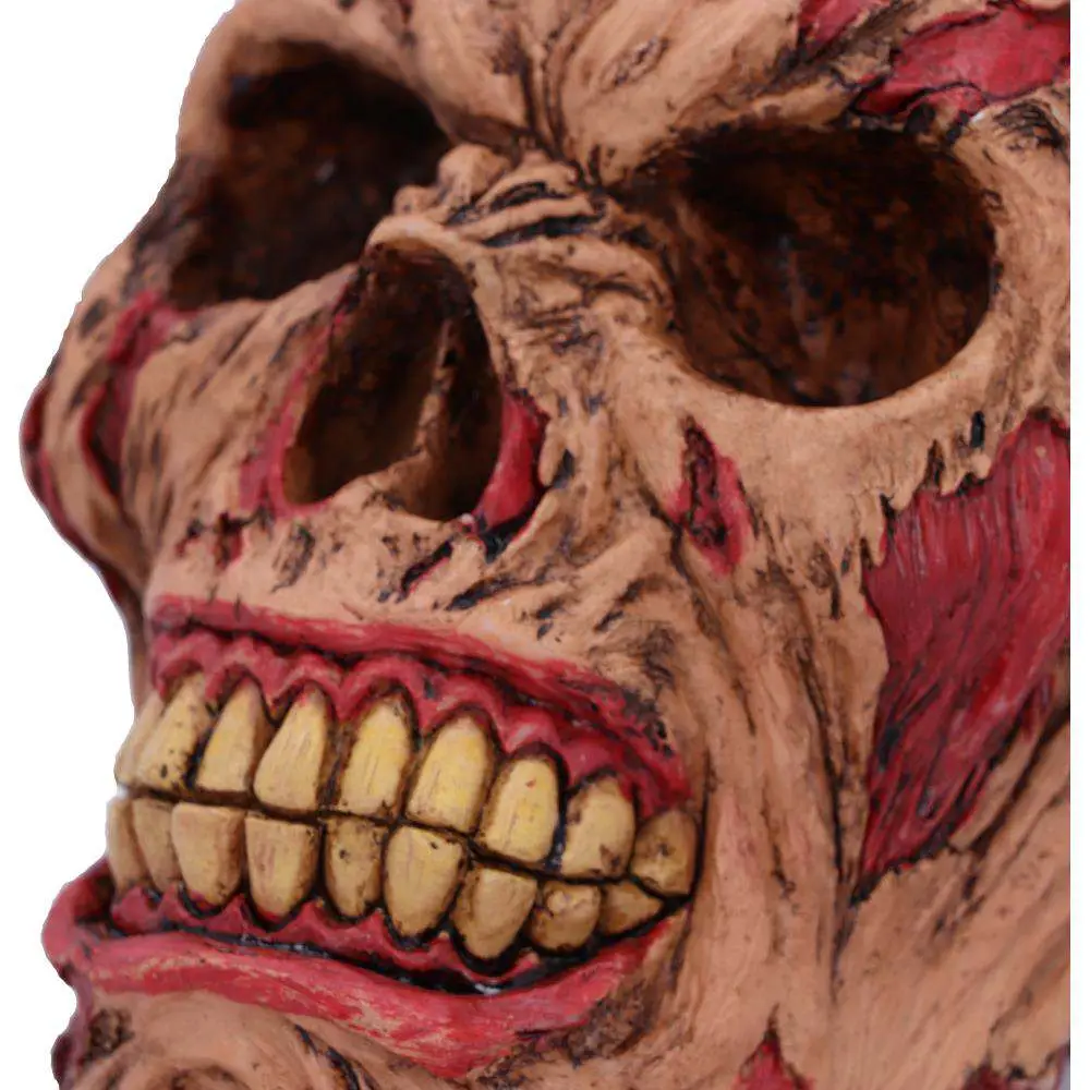 Decorazione Rotting Zombie Skull 17 cm DS Modellismo Decorazione Rotting Zombie Skull NEMESIS NOW