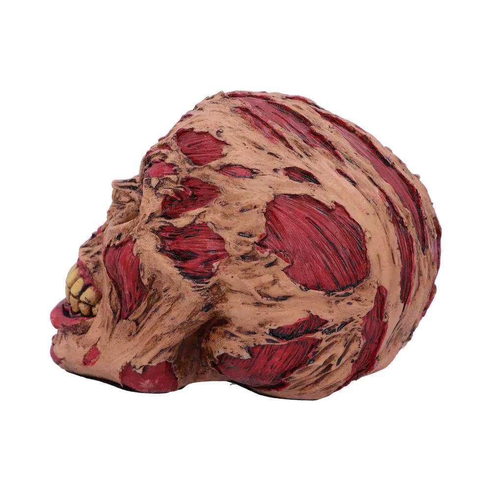 Decorazione Rotting Zombie Skull 17 cm DS Modellismo Decorazione Rotting Zombie Skull NEMESIS NOW