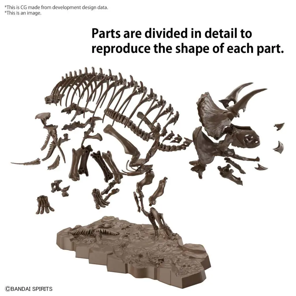 Imaginary Skeleton Triceratops 1/32 DS Modellismo Imaginary Skeleton Triceratops scala 1/32