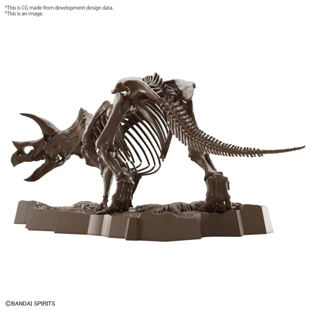 Imaginary Skeleton Triceratops 1/32 DS Modellismo Imaginary Skeleton Triceratops scala 1/32