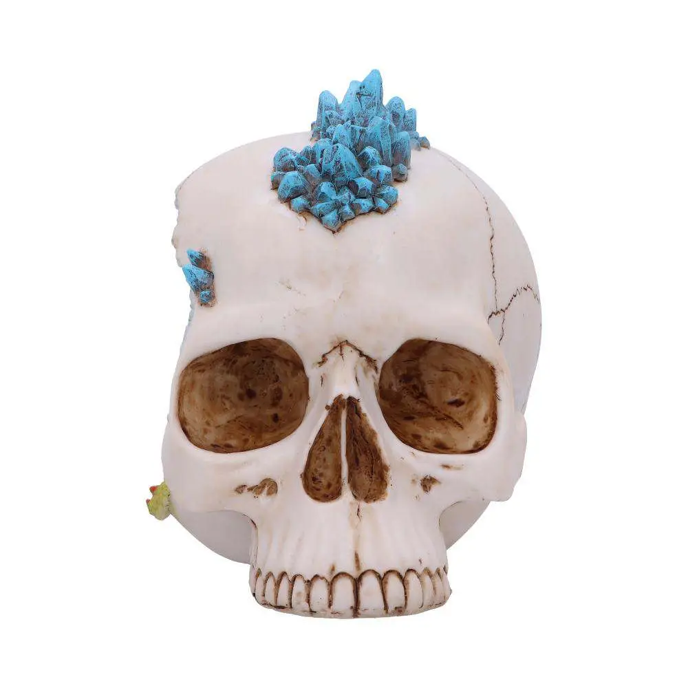 Skull Crystal Cave Blue Dragon DS Modellismo Skull Crystal Cave Blue Dragon NEMESIS NOW
