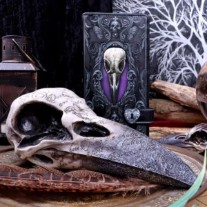 Edgar A Poe Raven Skull NEMESIS NOW