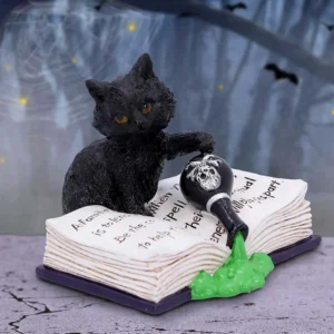 Decorazione Black Cat Mischievous Feline
