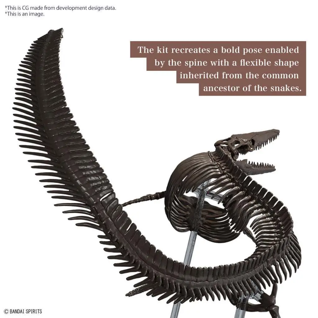Imaginary Skeleton Mosasaurus 1/32 DS Modellismo Imaginary Skeleton Mosasaurus scala 1/32