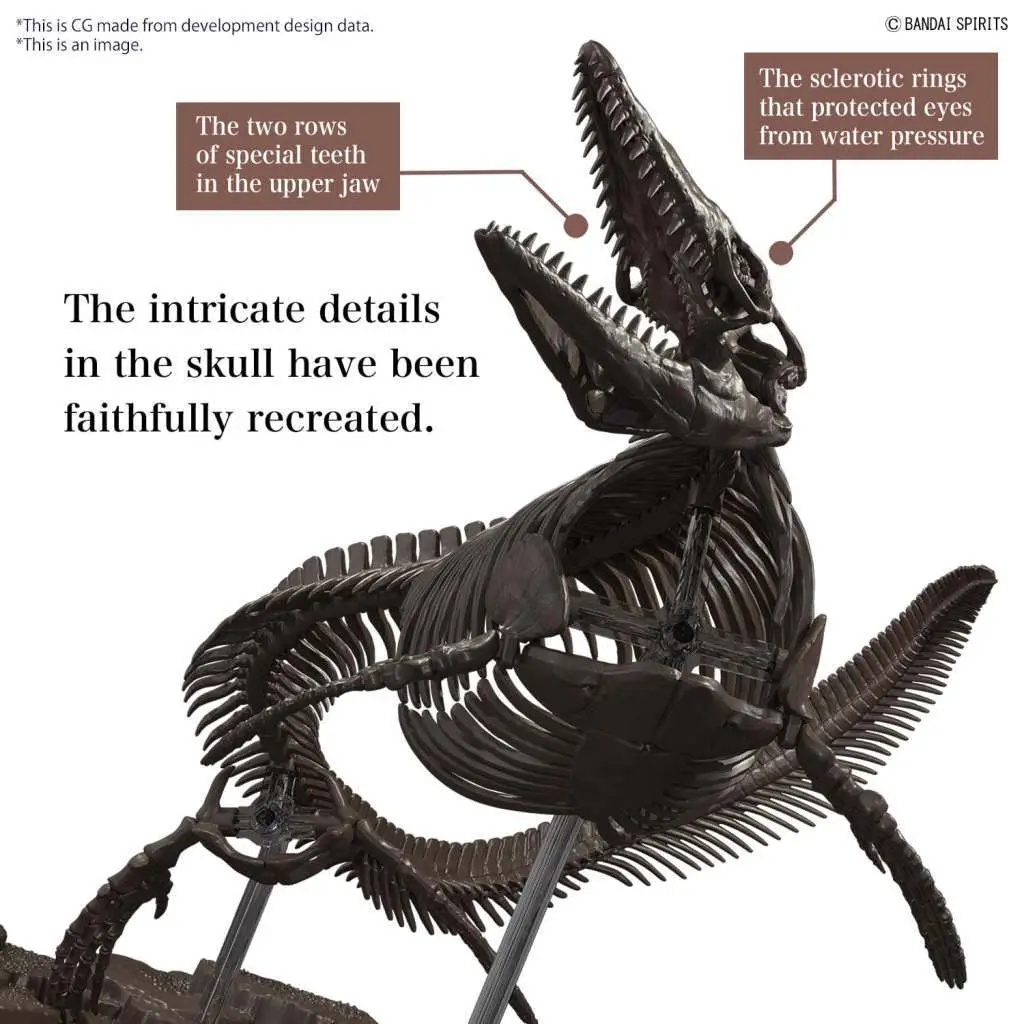 Imaginary Skeleton Mosasaurus 1/32 DS Modellismo Imaginary Skeleton Mosasaurus scala 1/32