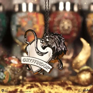 Decorazione da appendere Harry Potter