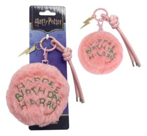 Portachiavi Harry Potter Charm Cerdá