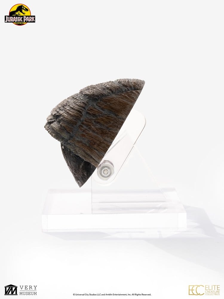 Replica Jurassic Park 1/1 Triceratops Toenail 16 cm DS Modellismo Replica Jurassic Park Triceratops scala 1/1