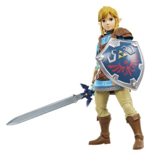 Legend Zelda: Tears Kingdom Heroes Hyrule