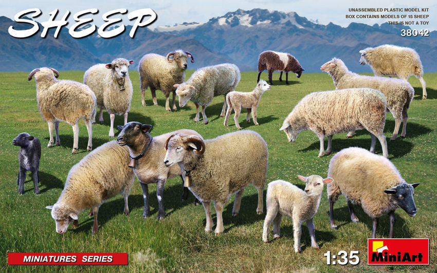 Sheep Kit 1:35 DS Modellismo Sheep Kit scala 1:35 Miniart