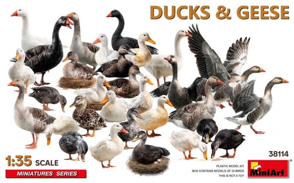 Ducks & Geese Kit 1:35 DS Modellismo Ducks & Geese Kit scala 1:35 Miniart