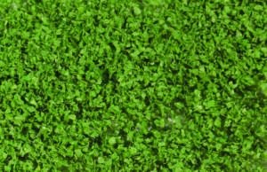 Foglie verde acceso 200 ml Heki