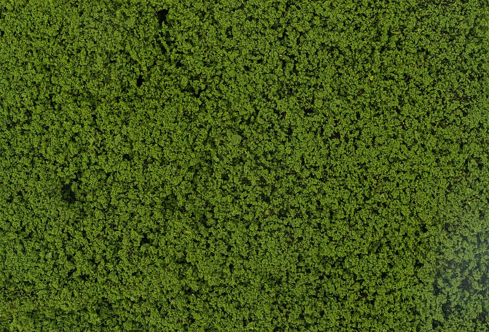 Fogliame - Verde DS Modellismo Fogliame Verde Faller