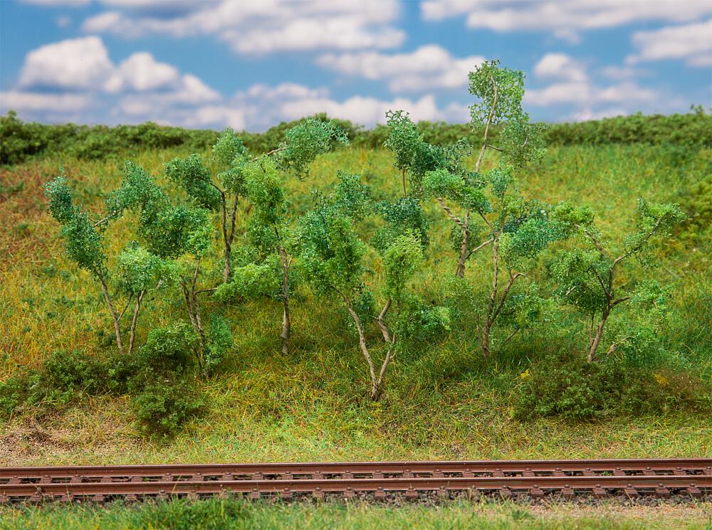 Alberi e arbusti per i margini del bosco DS Modellismo Alberi e arbusti per i margini del bosco