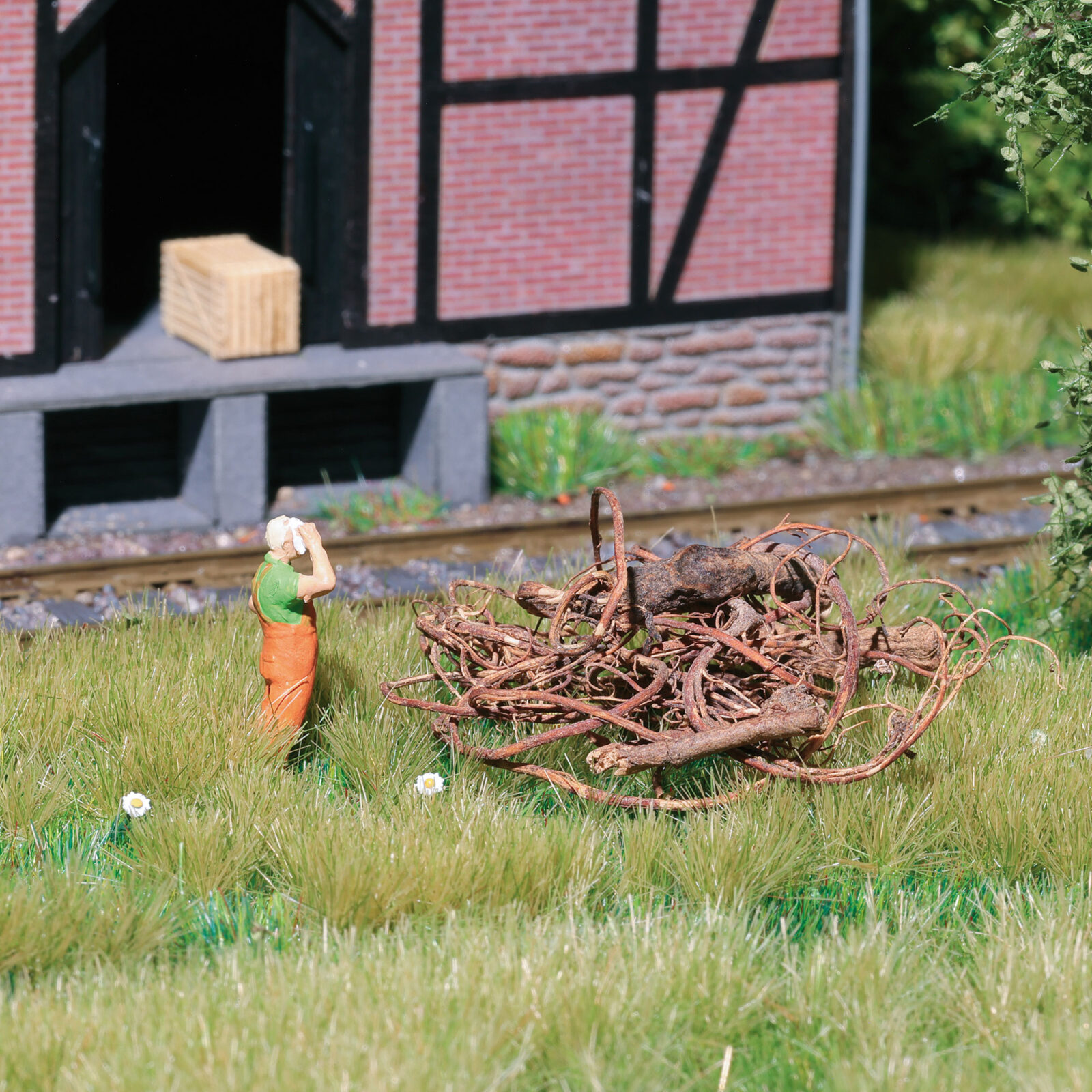 Sottobosco Scala H0 DS Modellismo Sottobosco scala H0 Busch