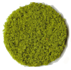 Fogliame verde chiaro grammatuara medio 200