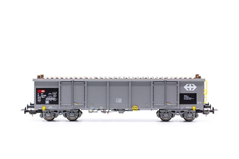 Set 2 carri Eaos Hochbordwagen Eaos bel.m.Holz, Epoca V-VI delle SBB Scala H0 DS Modellismo Set 2 carri Eaos Hochbordwagen Eaos scala H0