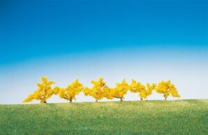 6 Forsizie Fiori gialli Faller