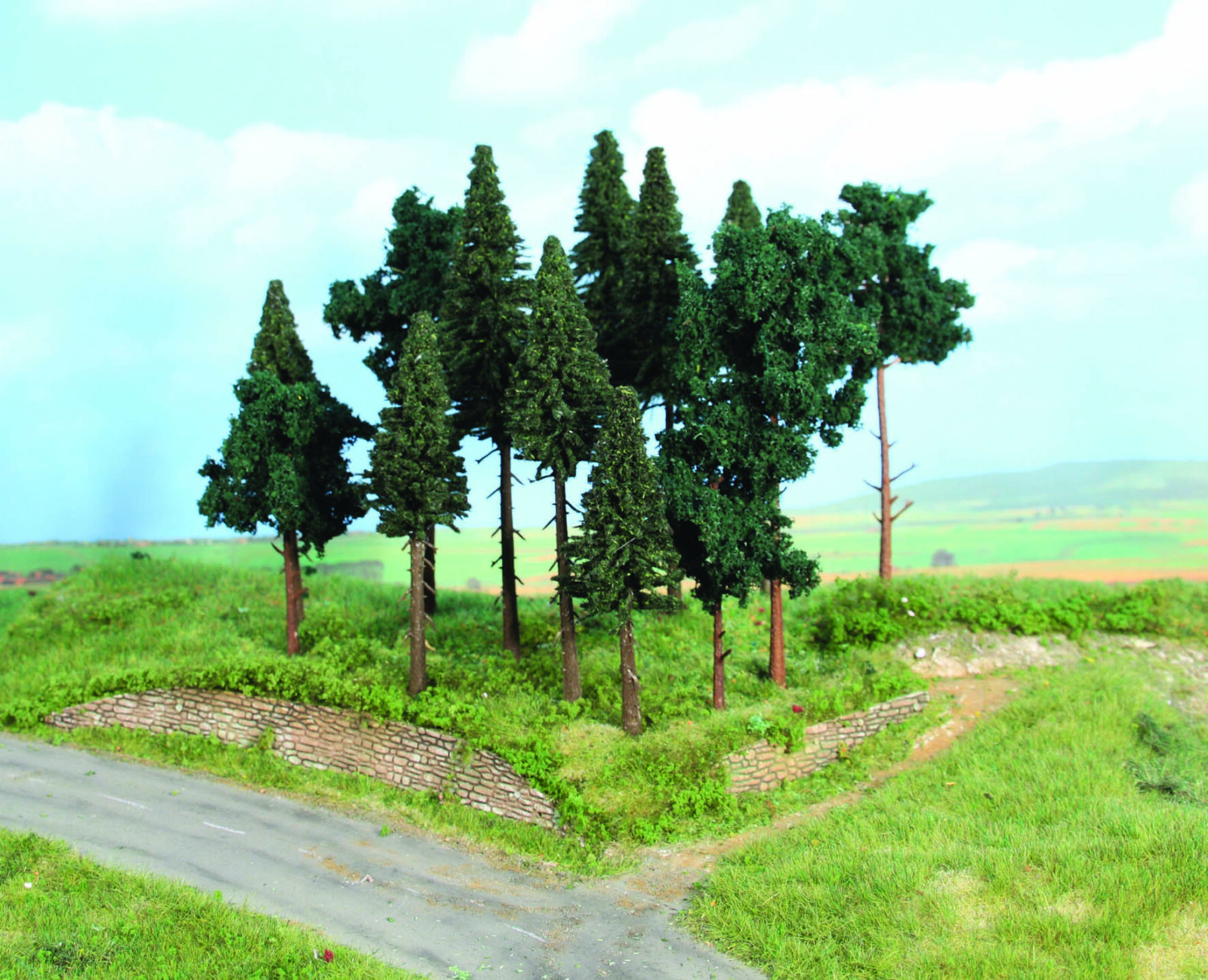 Bosco di conifere, 14 conifere 10-17 cm DS Modellismo Bosco di conifere, 14 conifere 10-17 Heki