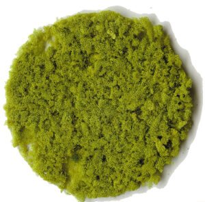Fogliamer verde chiaro, circa 200 ml Heki