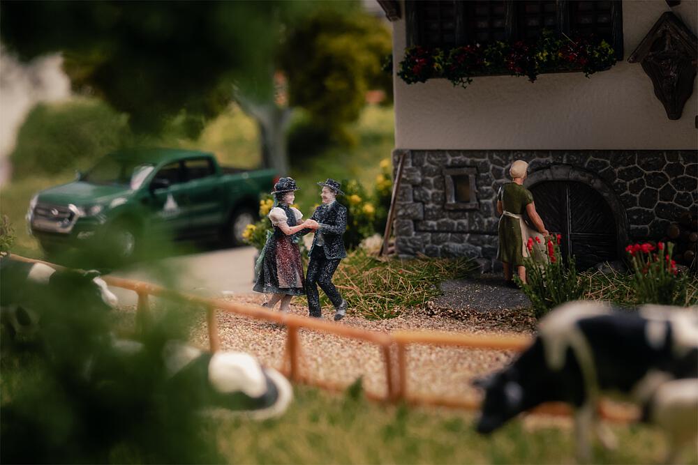 Fattoria della Foresta Nera con 2 Personaggi - Modello Commemorativo Scala H0 DS Modellismo Fattoria della Foresta Nera 2 scala H0