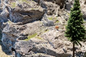 Schiuma per roccia e terreno scala H0 Faller