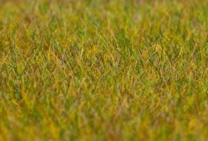 Fibre per copertura del suolo PREMIUM Verde