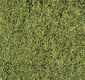 Erba selvatica, la savana 28x14 Heki