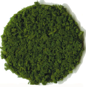 Fogliame verde scuro, circa 200 ml Heki