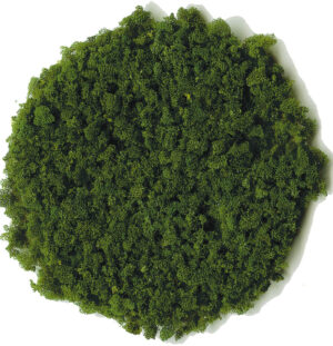 Fogliame verde scuro gramamtura medio 200 ml