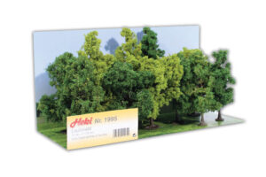 Foresta decidua, 12 alberi 11-13 Heki