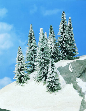 8 abeti innevati da 7-12 Heki