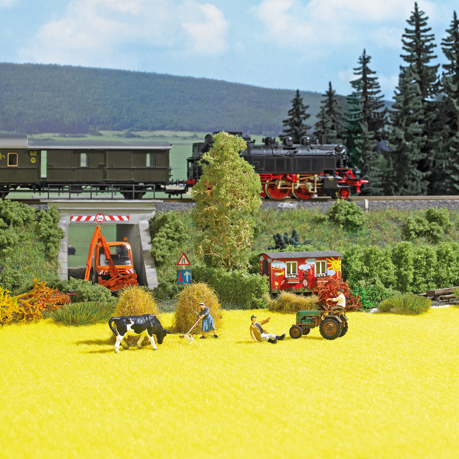 Campo di colza DS Modellismo Campo di colza Busch