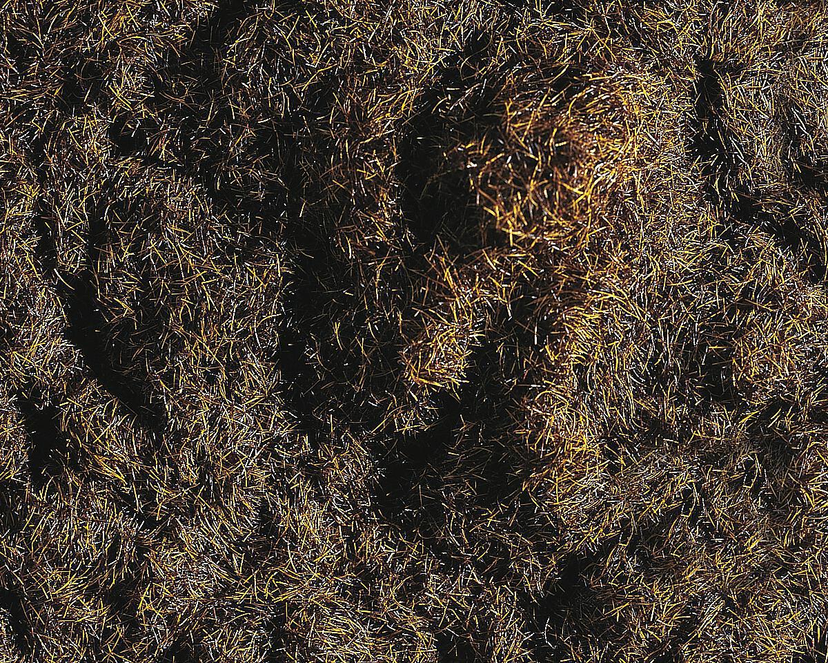 Fibre d'erba, marrone scuro, 35 g DS Modellismo Fibre d'erba, marrone scuro, 35 g Faller