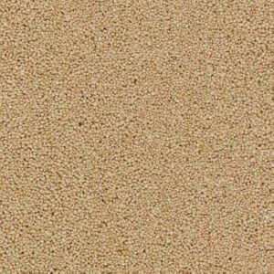 Ghiaia beige Busch