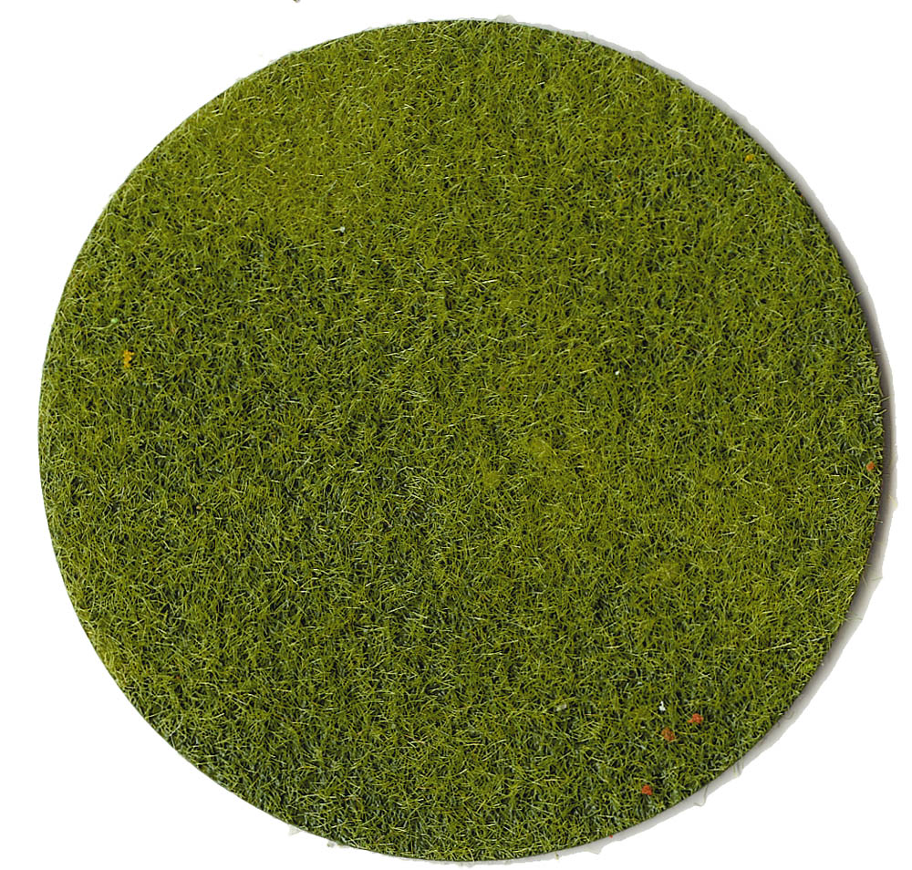 Erba in fibra verde chiaro, 50 g, 2-3 mm DS Modellismo Erba in fibra verde chiaro, 50 g, 2-3 Heki